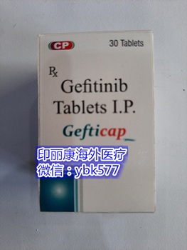 印度易瑞沙多少钱