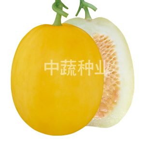 唯爱