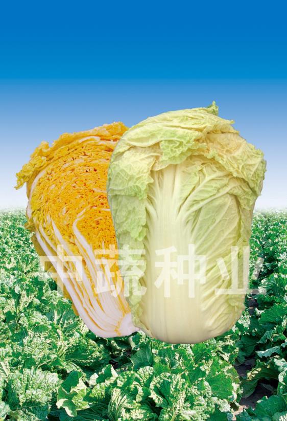 Jihong 82