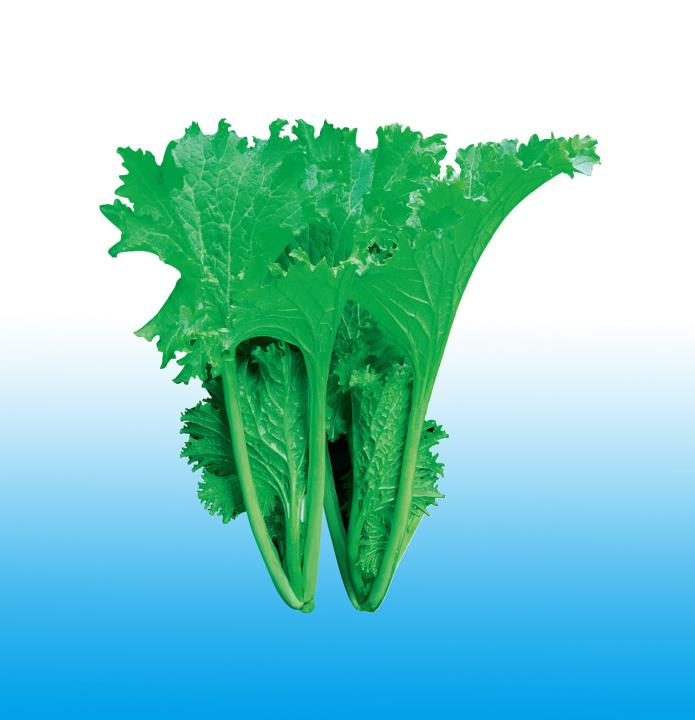 Qingxiang
