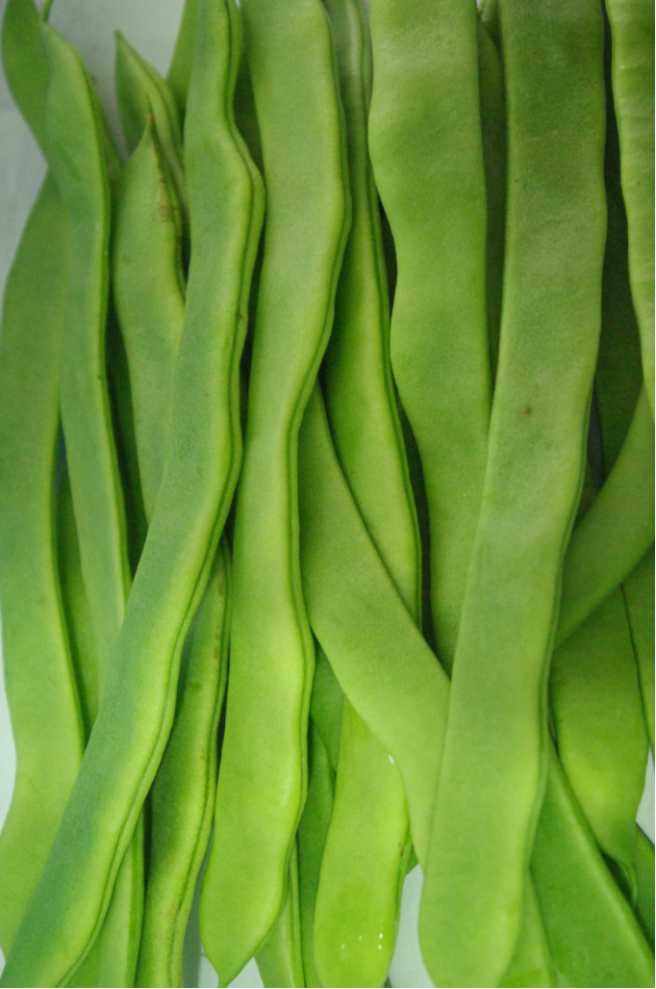 bifeng
