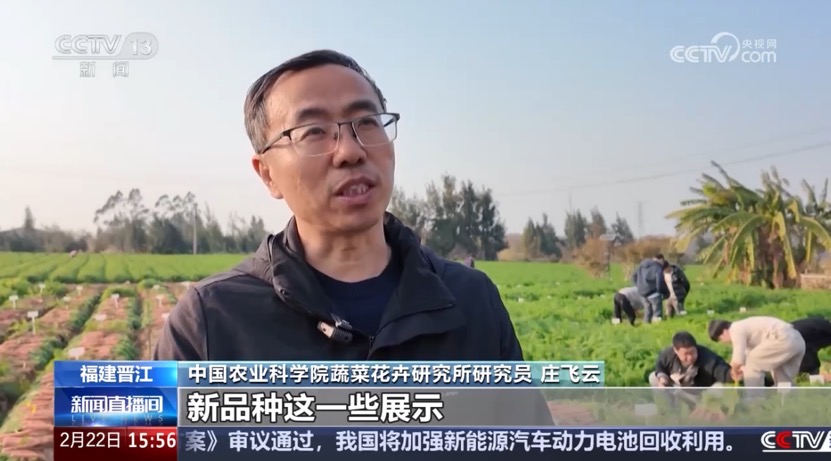 【CCTV13】福建晋江 ...