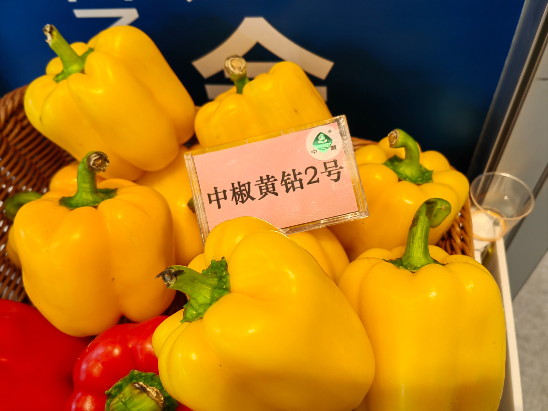 微信图片_20250912122900_86_132