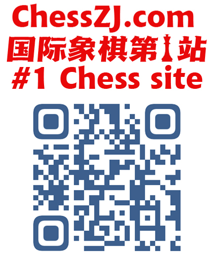 杭州国际象棋培训网,杭州钱塘棋院,鲍特维尼克国际象棋