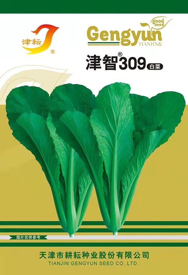 津智309