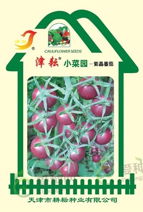紫晶番茄小菜园