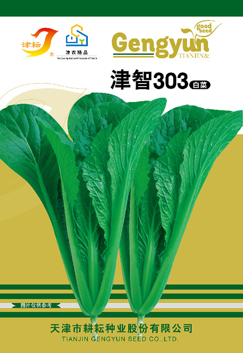 津智303