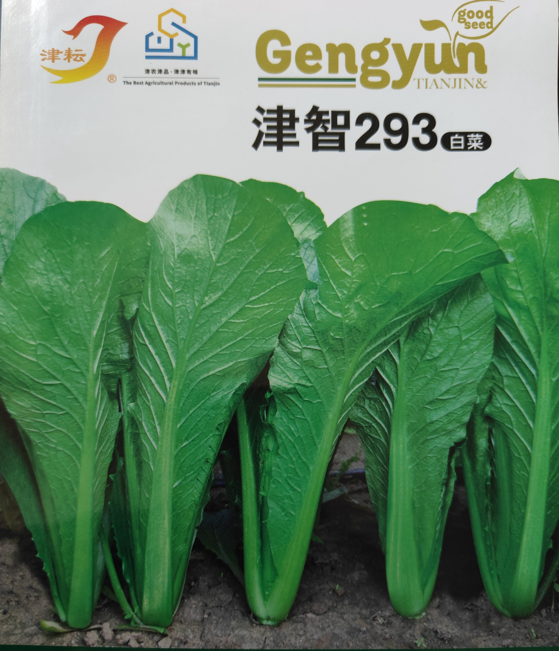 津智293