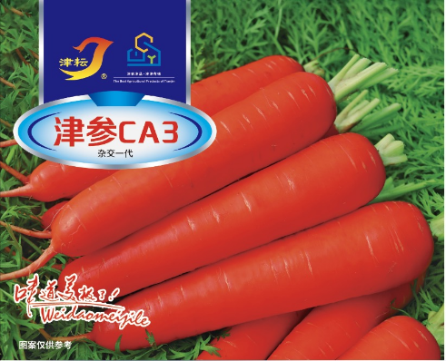 津参CA3