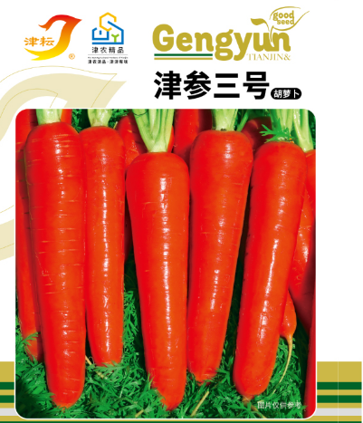 津参三号