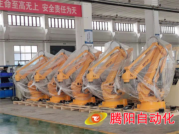 机器人码垛机复合型抓手袋子码垛案例