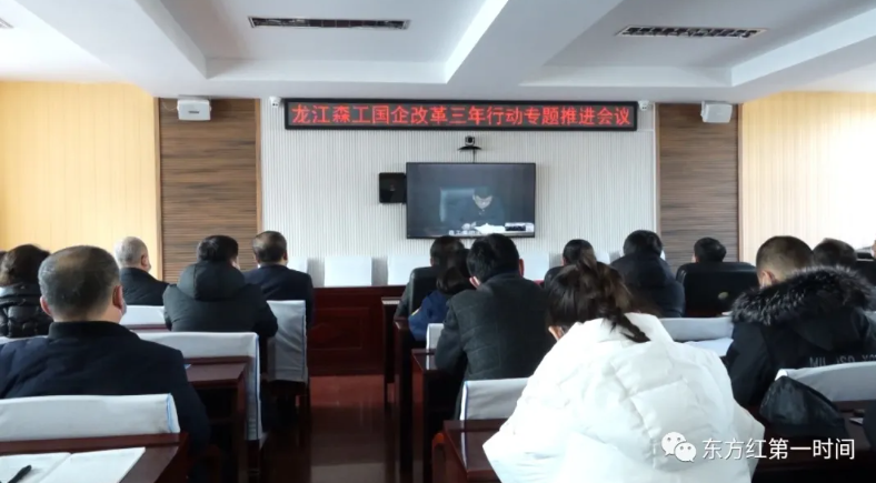 龙江森工集团召开国企改革三年行动专题推进会议