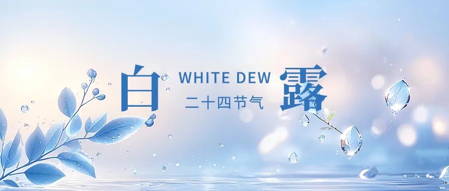 d297e16620d159f8c7064c80e4a9d7b0