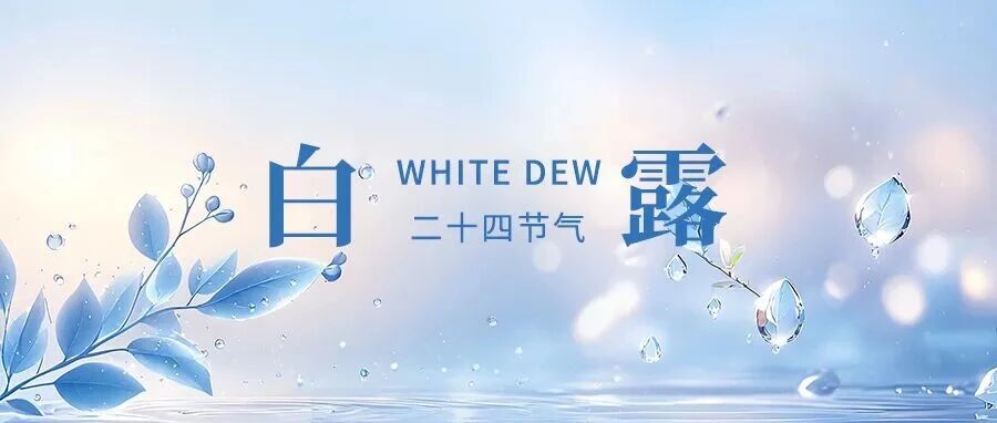 d31b049bfbfa266e7b8d29b543f781c8