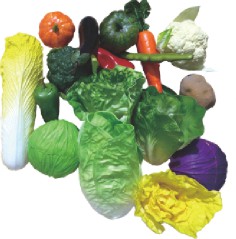 20件仿真蔬菜