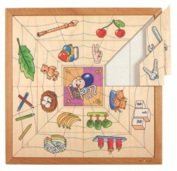 蜘蛛分类拼图-数量