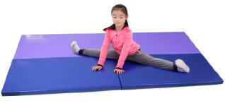 蓝/紫色训练垫
