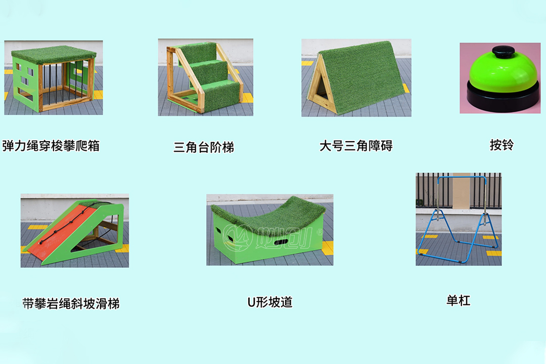 008_20250522_17478895430516140