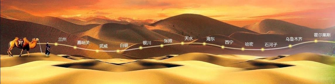 描述