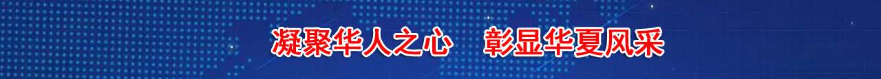 描述