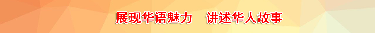 描述