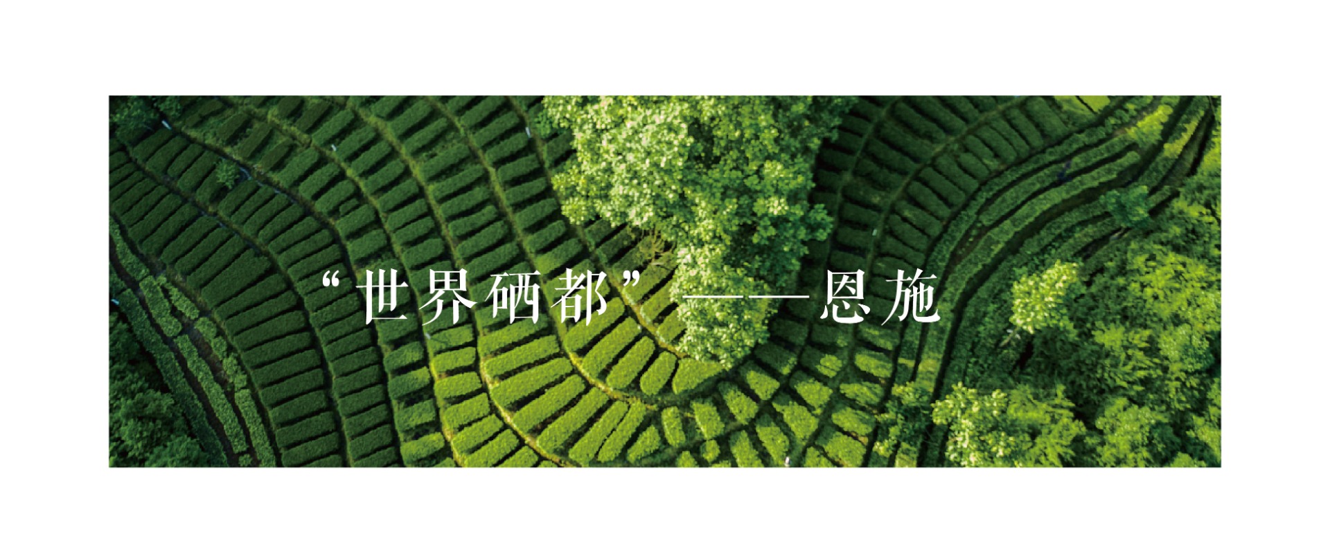 微信圖片_20220224110856_20220302_104413669