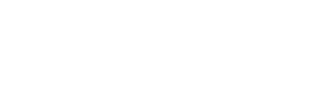 VPlogo2-09