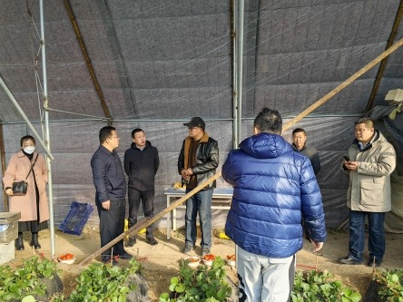 http://www.sdast.org.cn/picture/-1/230202152046509807.jpg
