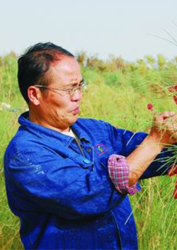 徐新文 / 职务：滩涂改良和生物板块首席科学家