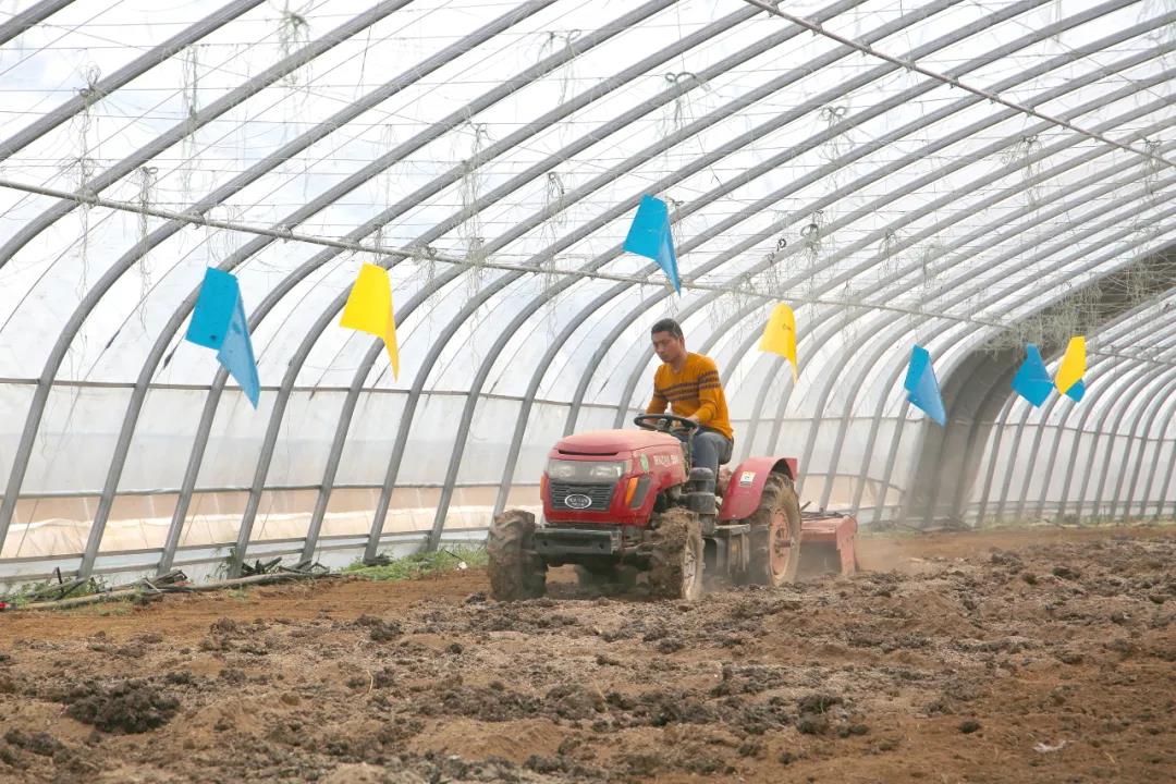 南阳市鸭河工区成园农业园区发展迅速 助力乡村振兴成效凸显