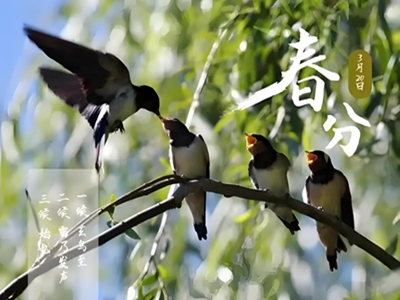春 分