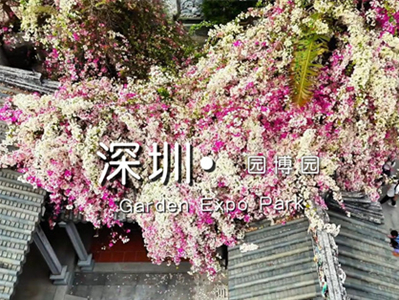 《跟我游湾区》一深圳園博園