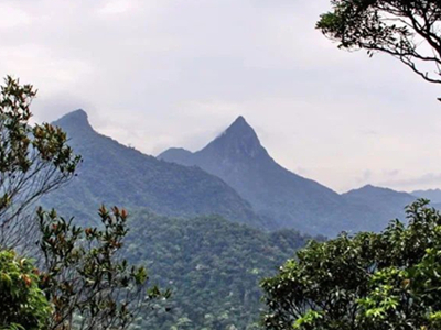 霸王岭与尖峰岭（二 章）