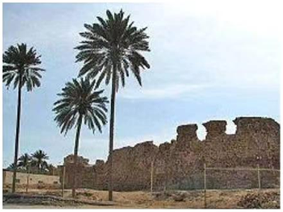 伊朗 Qeshm 格什姆岛《郑和古城堡》考证 ——首次发现波斯湾霍尔木兹...
