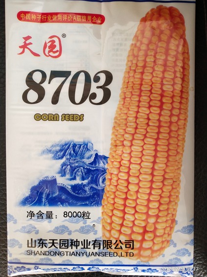 天园8703玉米种子8000粒