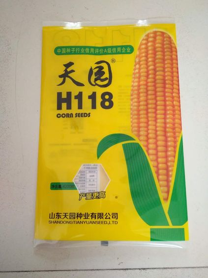 天园H118玉米种
