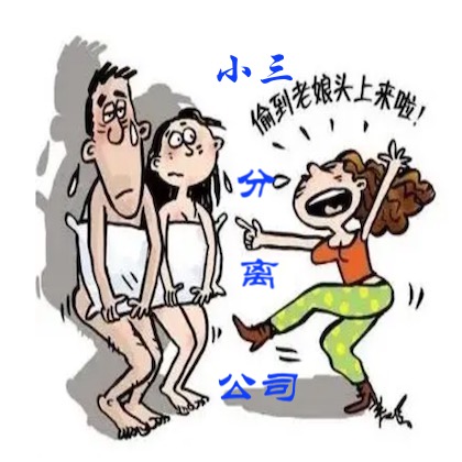 小三分离公司