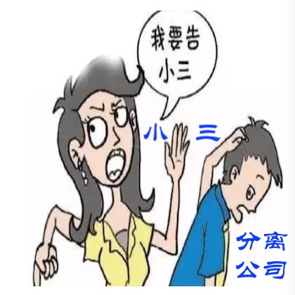 小三分离公司