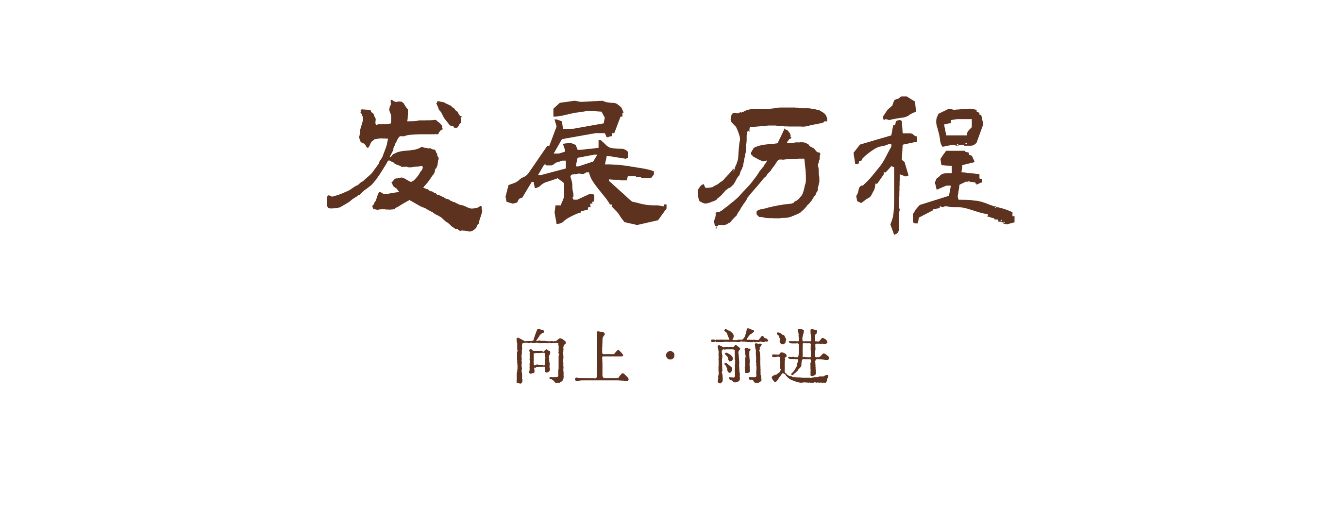 描述