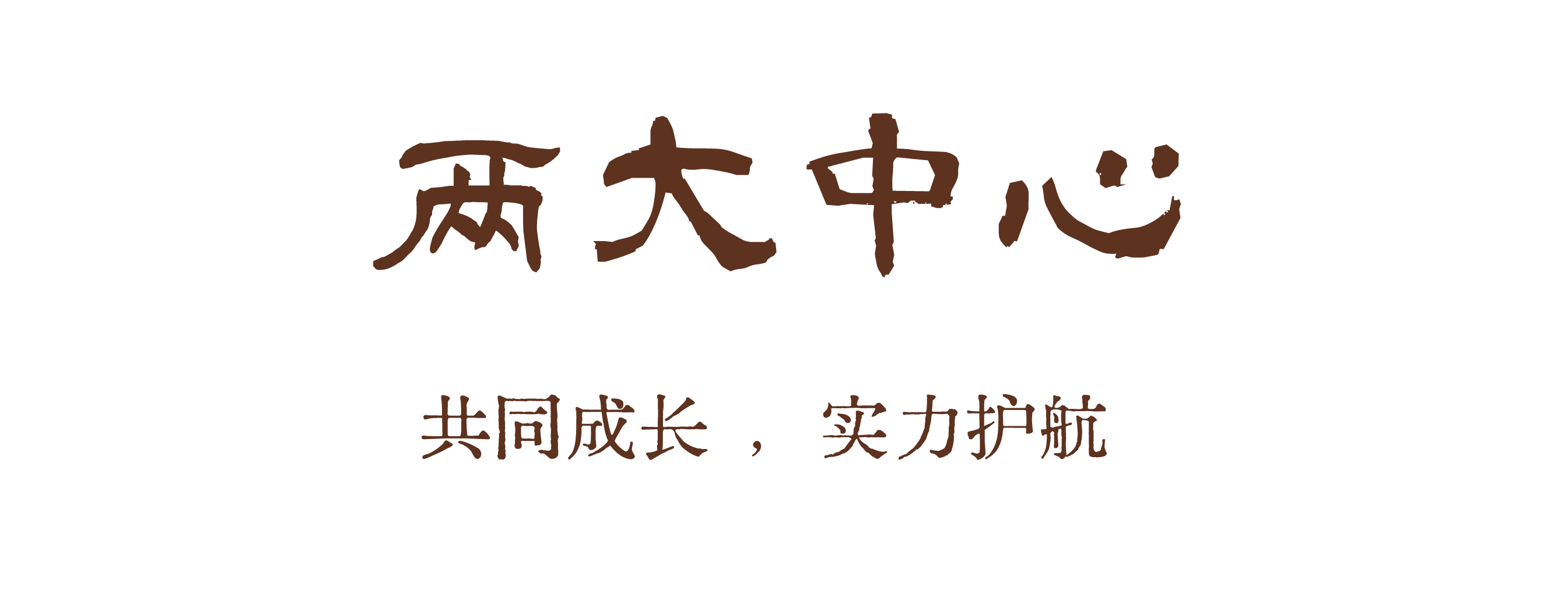 描述