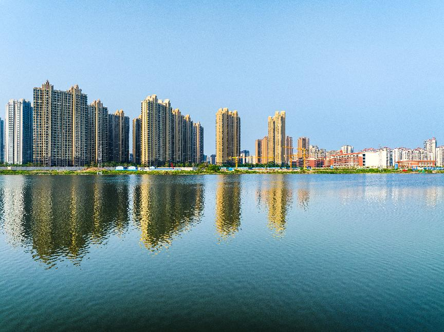 图片8