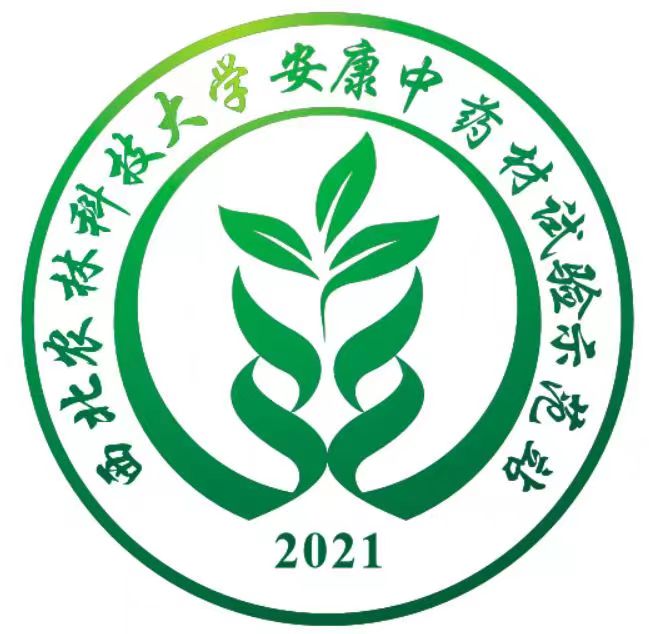 描述