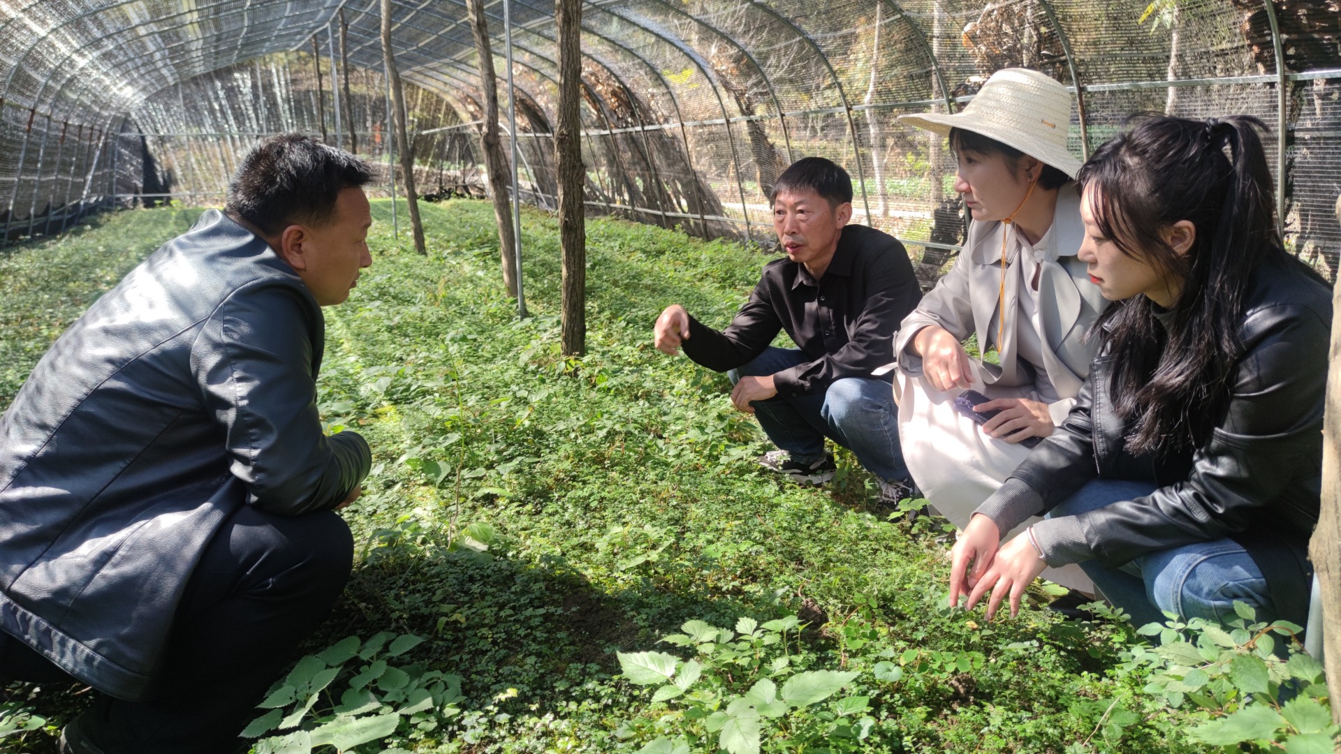 我校中药材试验示范站获创新创业基地授牌