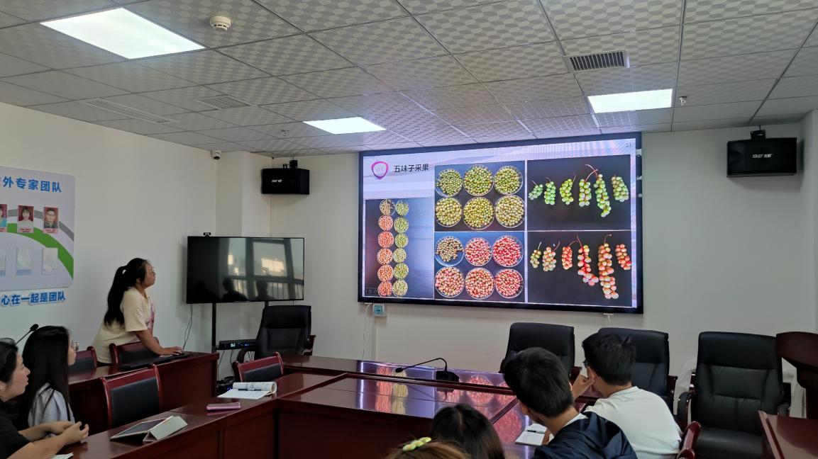 中药材全产业链硕士研究生中期考核汇报会在安康中药材试验示范站成功举办