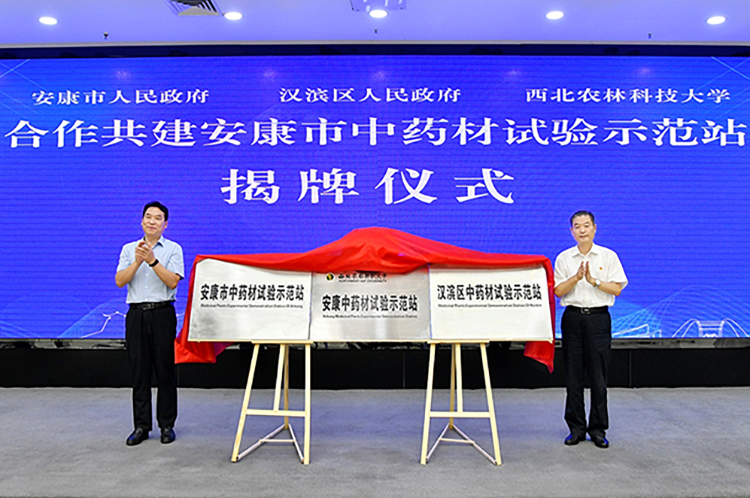 西北农林科技大学时任书记李兴旺与安康市委时任书记赵俊民为中药材试验示范站揭牌
