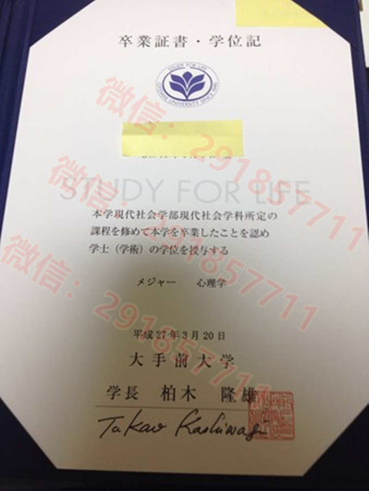日本大手前大学_副本