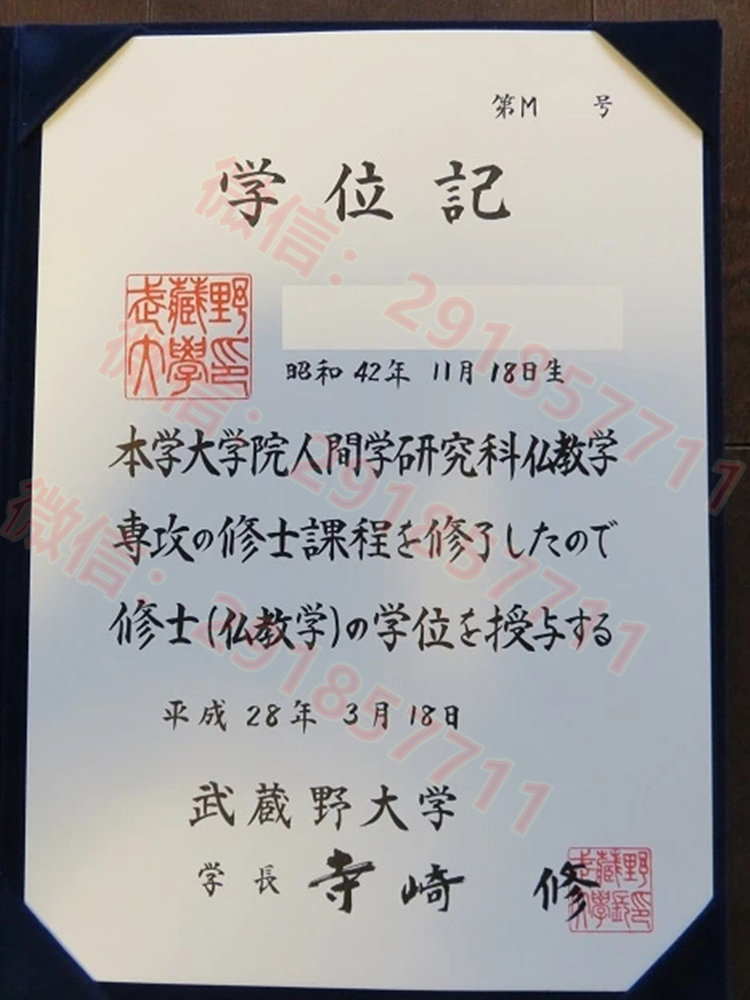 日本武藏野大学_副本