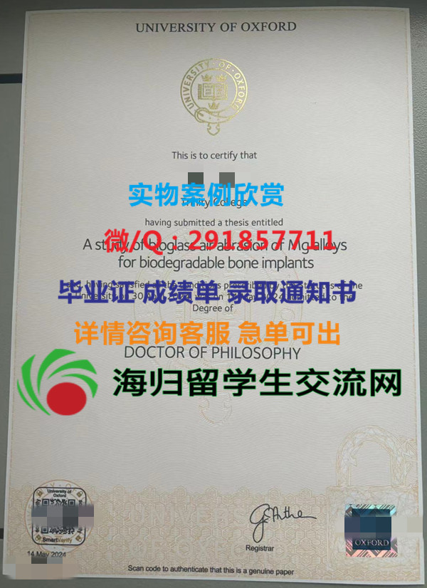 微信图片_20240525223920