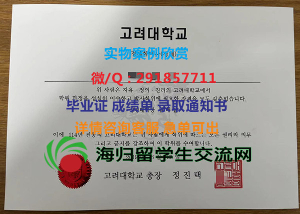高丽大学