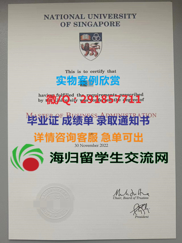 新加坡国立大学